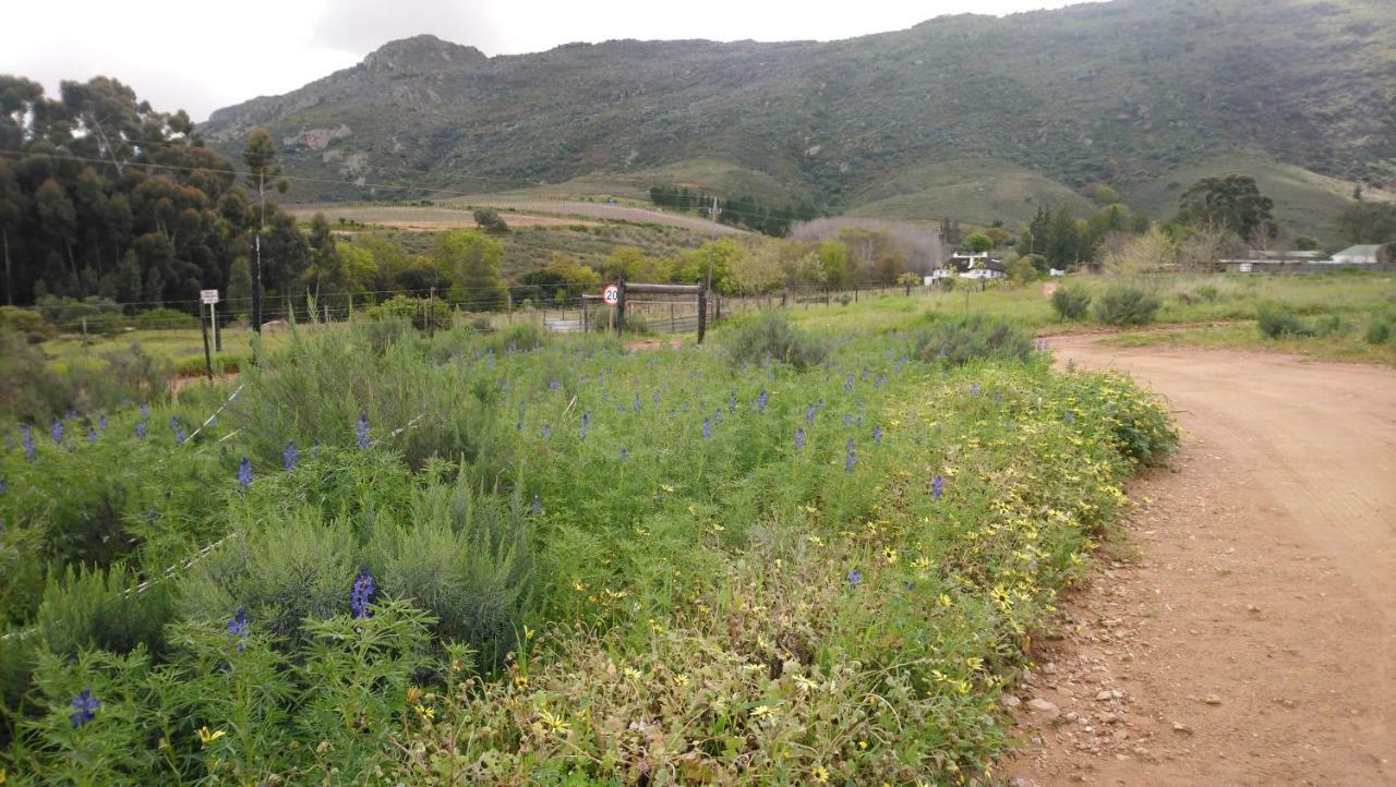 Brambleberry Farm Villa Riebeek-Kasteel Eksteriør bilde